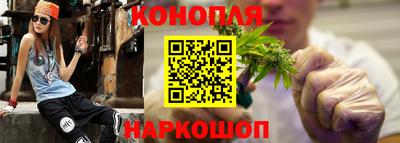 mdpv Гатчина