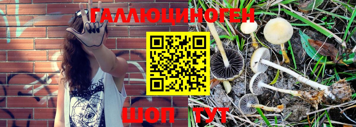 Псилоцибиновые грибы Magic Shrooms  Галлюциногенные грибы ЛСД  Вход с VPN  Белореченск 